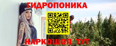 эйфоретик Бердск