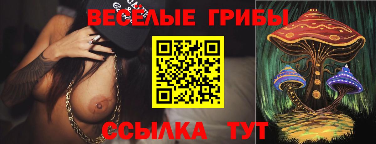 Псилоцибиновые грибы Magic Shrooms Белогорск